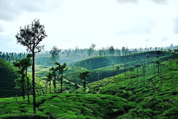 Hill Station